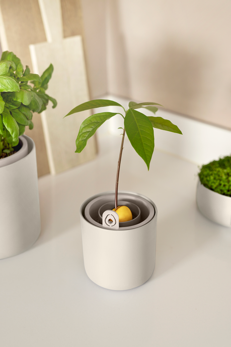 amazing avocado pot linen white